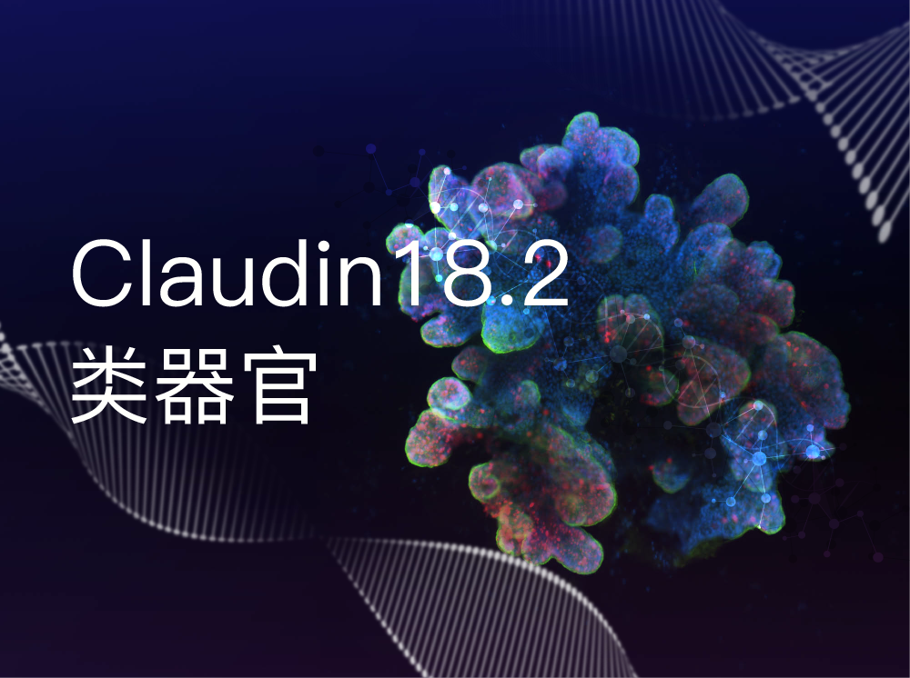 丹望医疗claudin18.2类器官模型