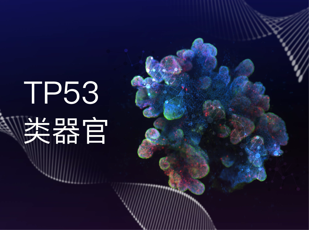 丹望医疗TP53突变模型库