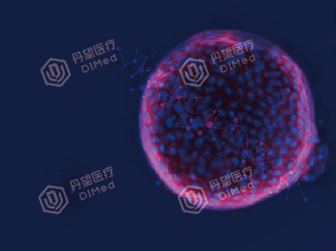 丹望医疗人胃类器官模型