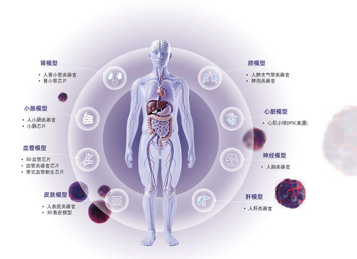 丹望毒理测试平台.png