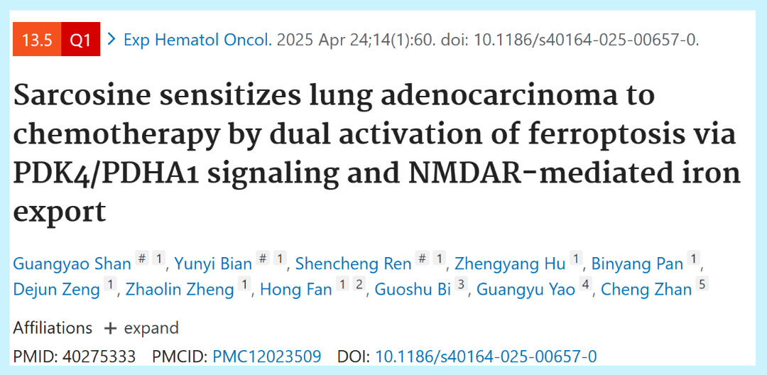 肌氨酸双重激活铁死亡增敏肺腺癌化疗：PDK4/PDHA1通路调控协同NMDAR介导铁代谢机制