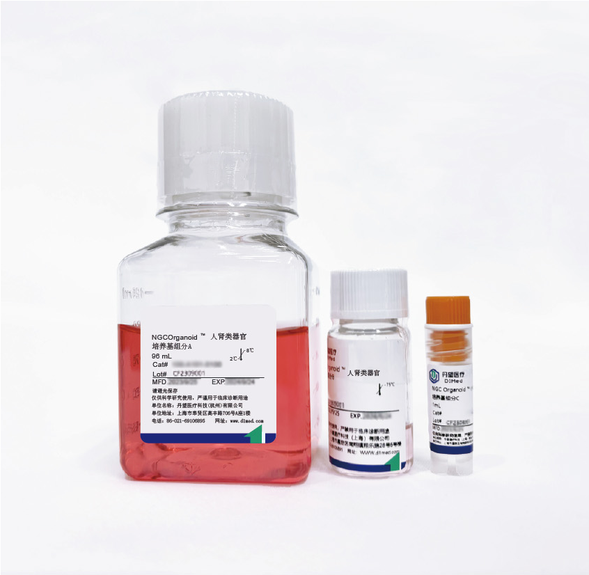 NGC Organoid®人肾类器官培养基(扩增)