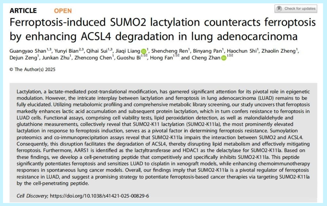 乳酸化修饰：肺腺癌抵抗铁死亡的新武器