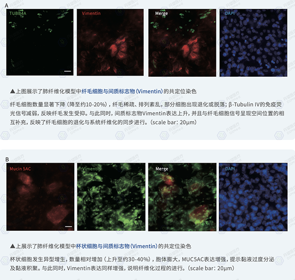 20251125199346.png 图片4.png