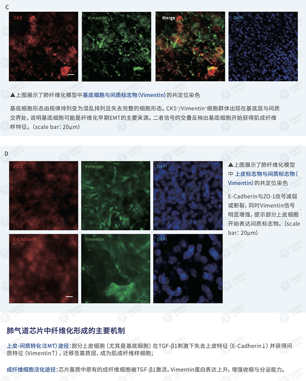 20251125392788.png 图片5.png