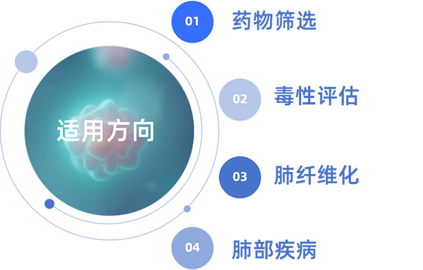 20251125490713.png 2.png