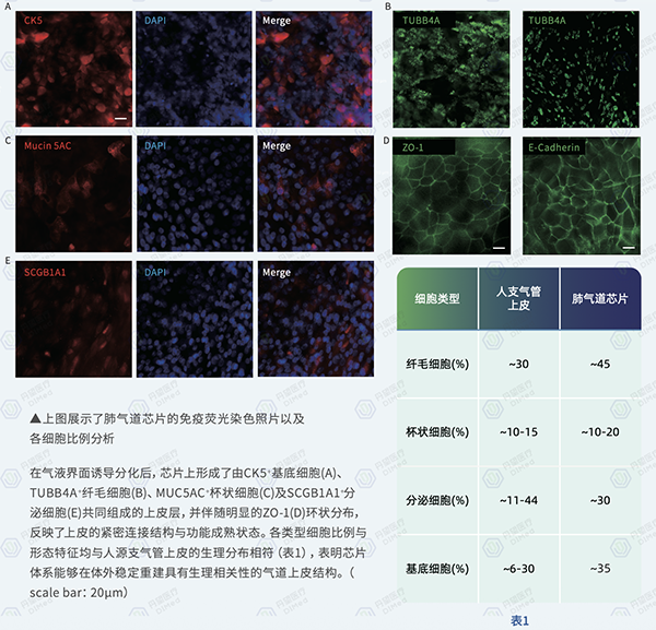 20251125775812.png 图片3.png