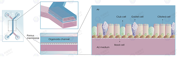 20251125837976.png 图片1.png