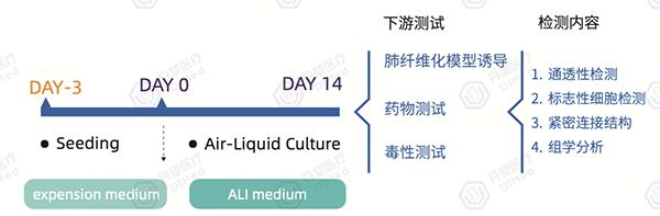 20251125890107.png 图片2.png