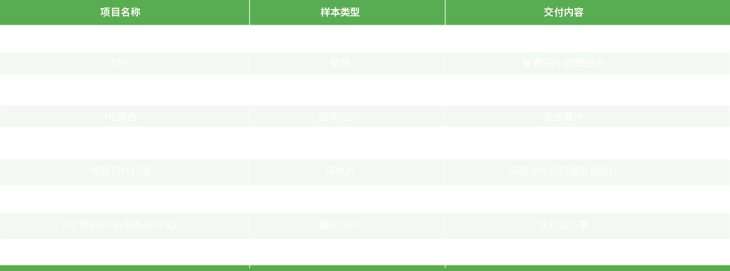 病理服务表格_画板 1.png