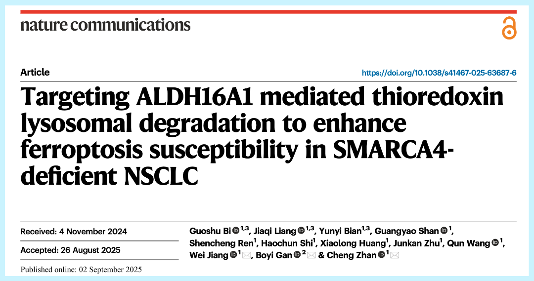 SMARCA4-ALDH16A1-TXN双重调控轴调控肺腺癌铁死亡相关机制