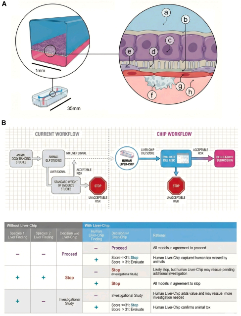 20260129470332.png 3.png