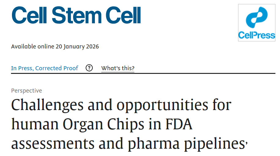 20260129869395.png 1.png