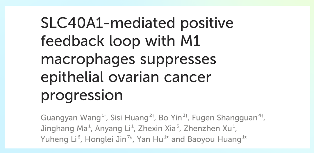 卵巢癌免疫治疗新靶点—SLC40A1如何激活巨噬细胞打击肿瘤