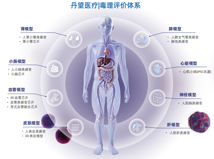 20260313122017.png 5.png