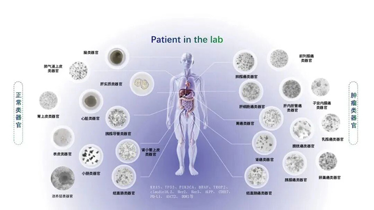 20260313545536.jpg 4.jpg