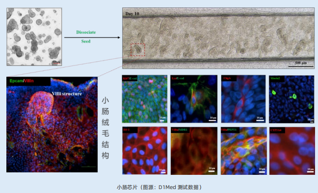 20260313917027.png 6.png