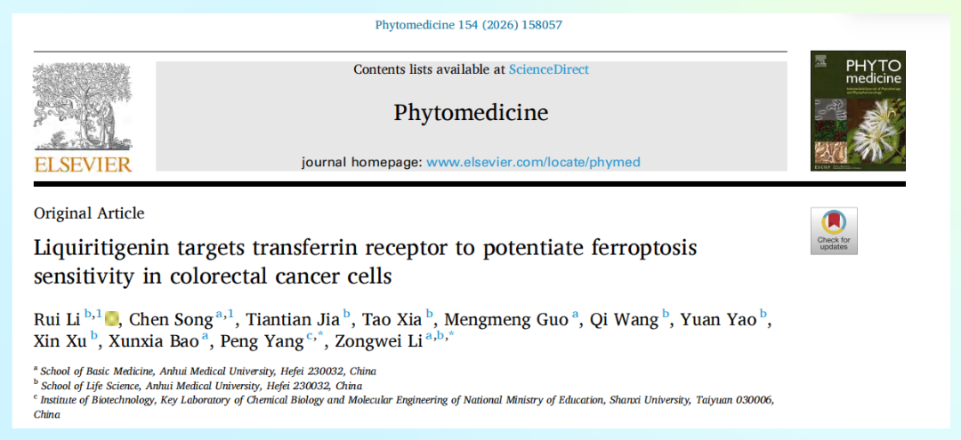 中药x类器官：甘草素新用——靶向TFRC增强铁死亡，为结直肠癌治疗提供新策略